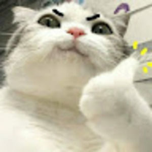 Meet your Posher, Kaitlyn